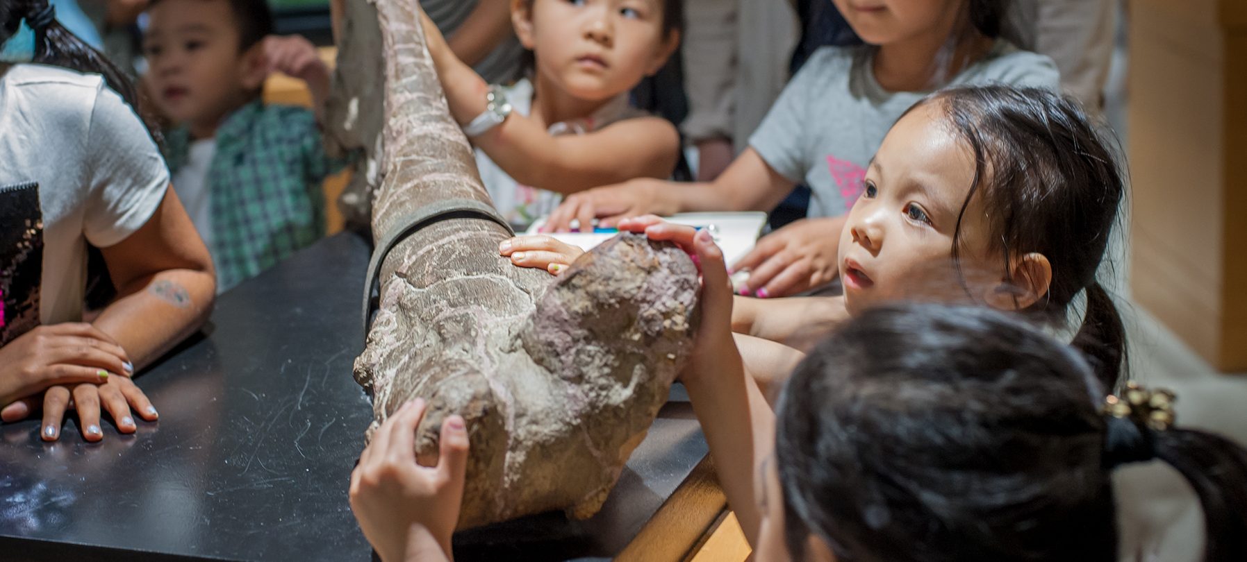 A child looks up in awe at a facilitator as they touch a fossilized dinosaur bone in the Main Gallery of the museum
